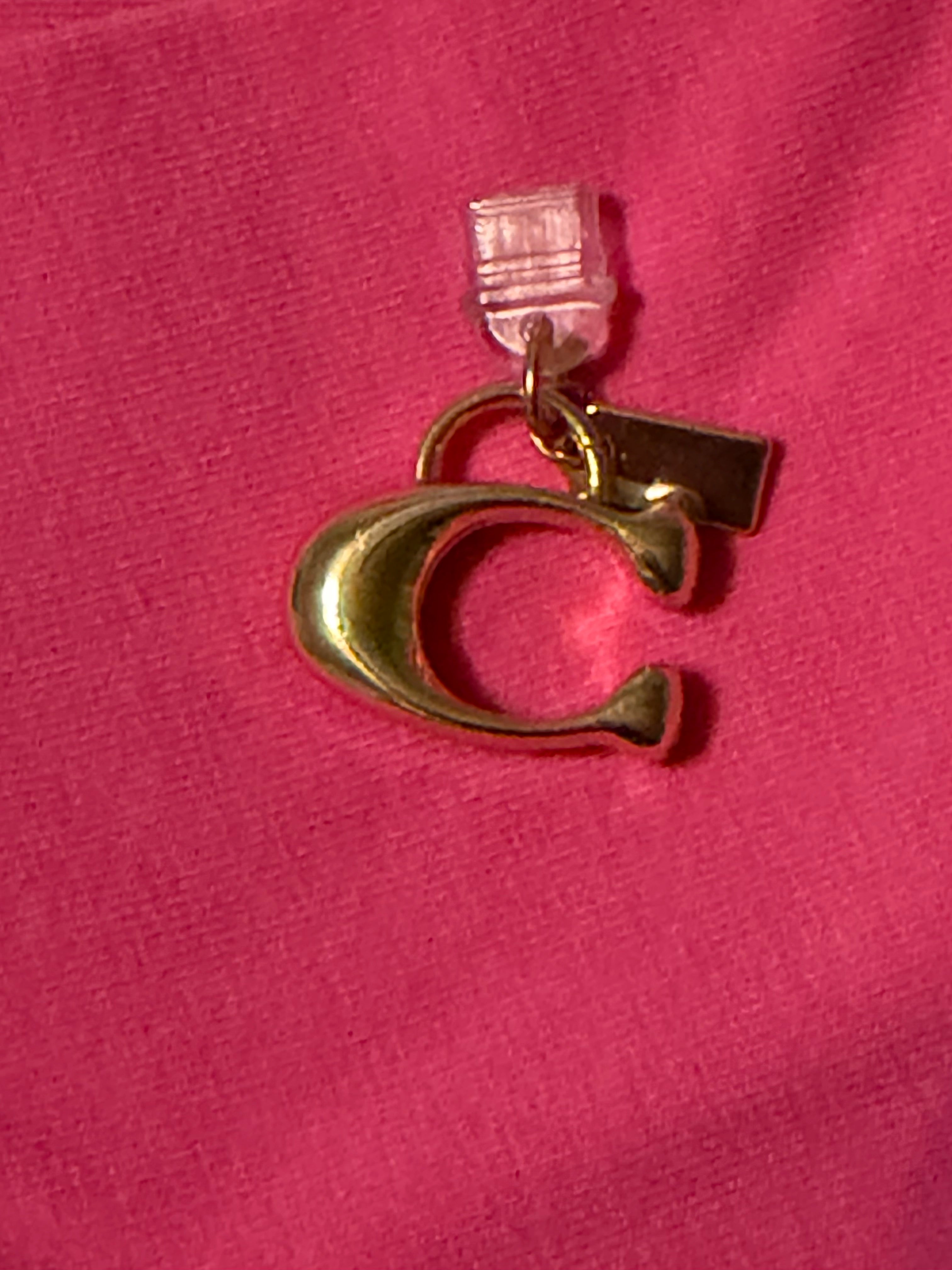 Gold C dust plug